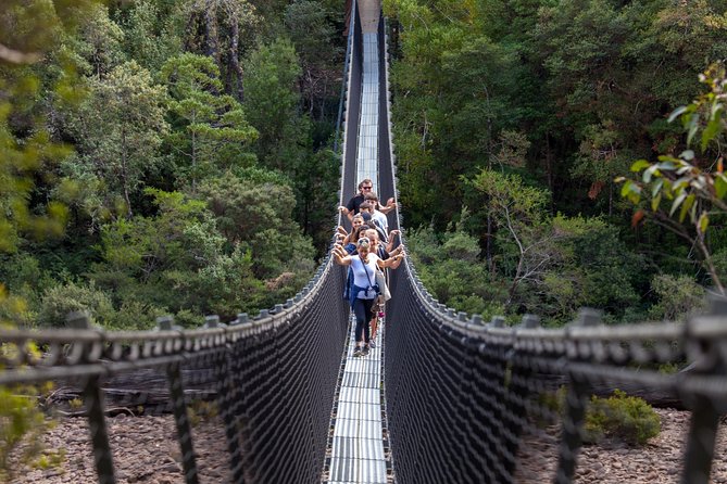Hobart: Tahune Airwalk, Hastings Caves & Thermal Springs Pool - Hastings Caves: why a guided tour makes the underground worth it