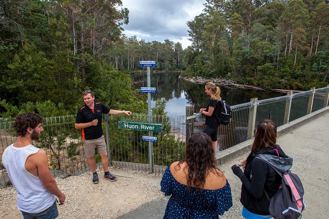 Hobart: Tahune Airwalk, Hastings Caves & Thermal Springs Pool - Thermal Springs Pool and the Hot Springs Nature Track: a soak, not a spa day