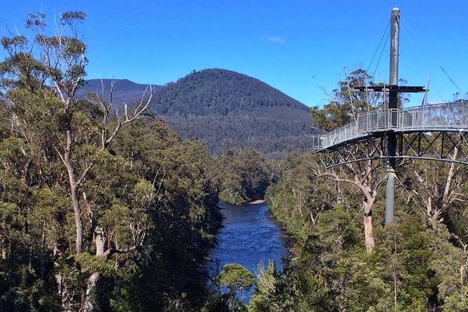 Hobart: Tahune Airwalk, Hastings Caves & Thermal Springs Pool - Huon Valley drive with honey, cherries, apples, and seasonal stops