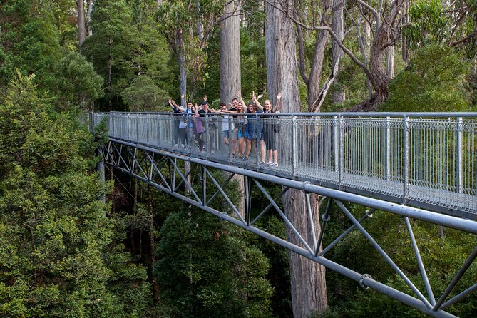 Hobart: Tahune Airwalk, Hastings Caves & Thermal Springs Pool - Who should book this, and who might find it tough