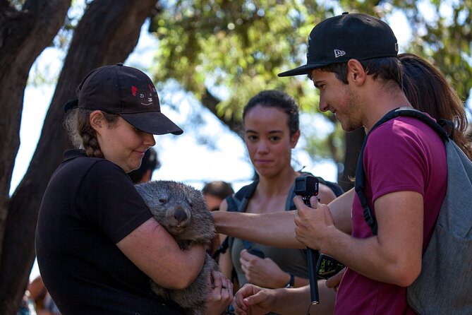 Hobart: Waterfalls, Wilderness & Wildlife - Active Day Tour - Tall Trees Walk: Swamp Gums and the World’s Tallest Flowering Plant