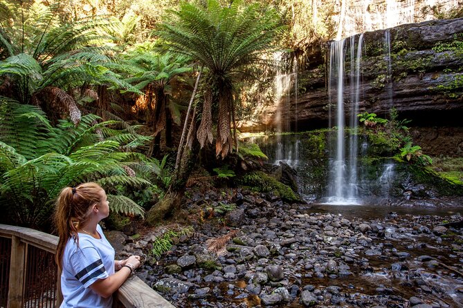 Hobart: Waterfalls, Wilderness & Wildlife - Active Day Tour - Mt Wellington Summit: 30 Minutes Above Hobart