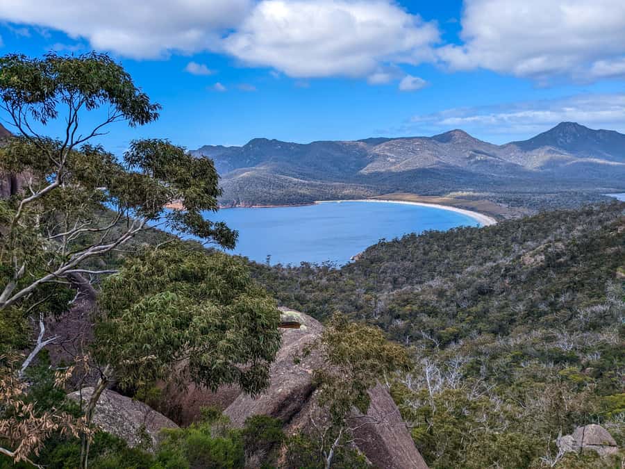 Hobart: Wineglass Bay & Freycinet Active Day Tour - Small Group Feel, Guides, and a Pace That Feels Human