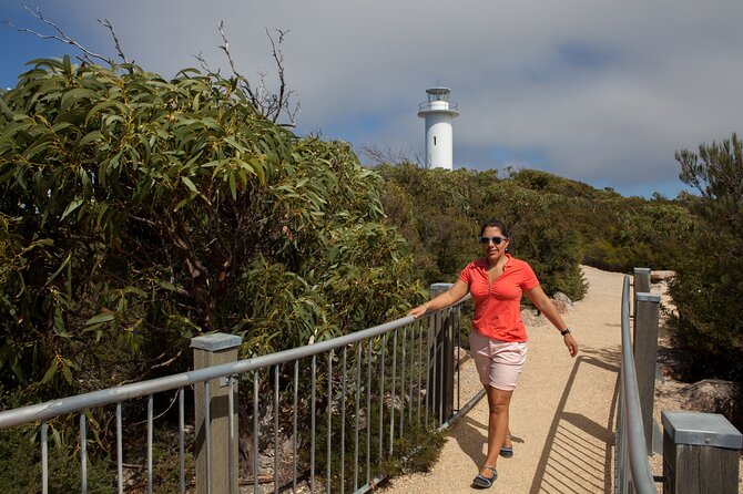 Hobart: Wineglass Bay & Freycinet National Park - Active Day Tour - Start in Hobart: The Morning Rhythm That Sets the Day Up