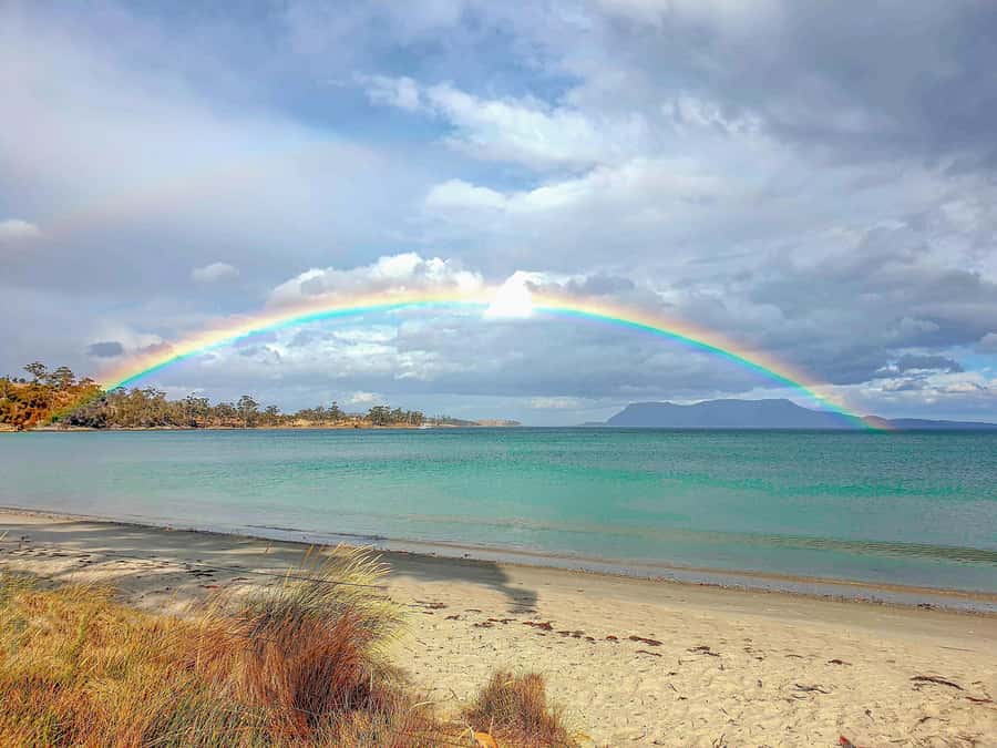 Hobart: Wineglass Bay, Freycinet Park, and Richmond Tour - Price and value: why $119 can feel fair here