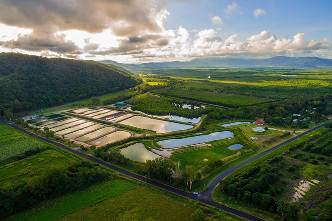 Hook A Barra Fishing Experience - Why Hook-A-Barra Feels Like Real Queensland Fishing