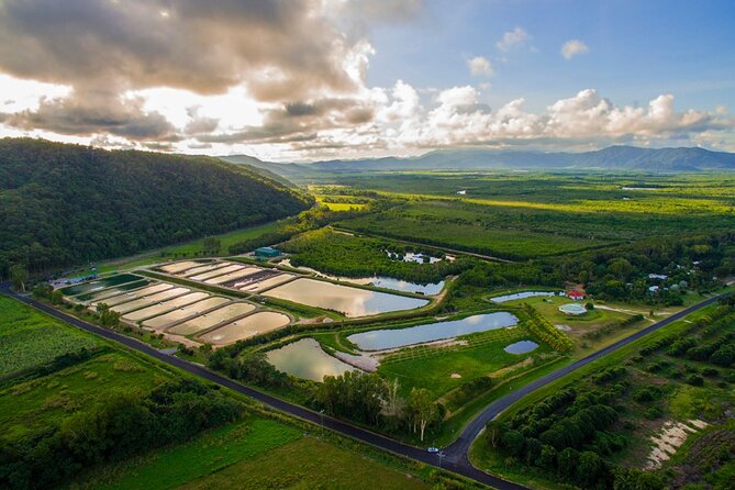 Hook-a-Barra Gourmet Farm Tour - The Farm Tour With A Small Group: What You’ll Actually Learn