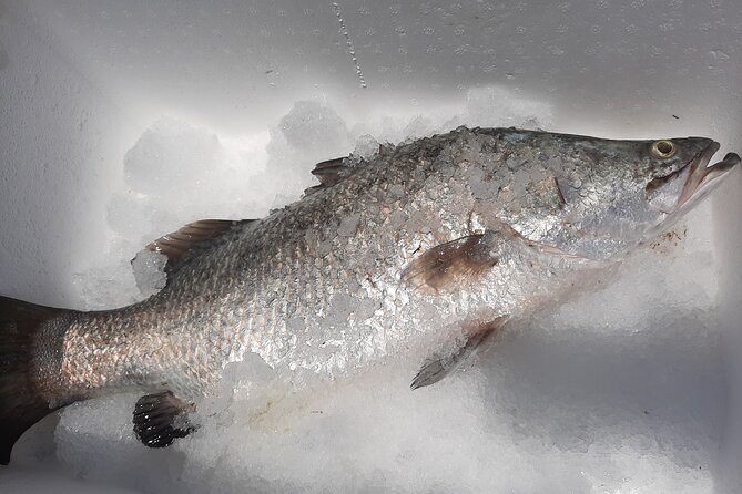 Hook-a-Barra Gourmet Farm Tour - Access To Barramundi Viewing Tanks: More Than Just Looking