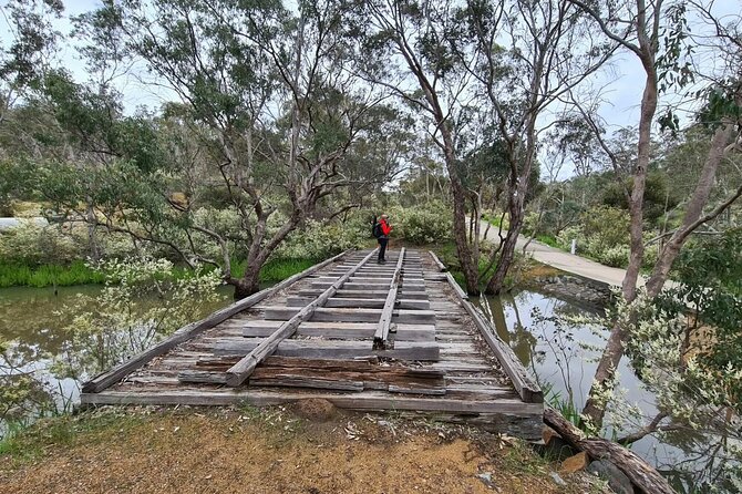 Horizontal Falls & Dampier Peninsula Discovery Tour - Cygnet Bay Pearl Farm: Understanding Why One Pearl Takes Years