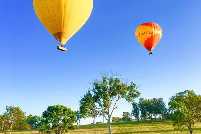 Hot Air Balloon Flight Brisbane with Vineyard Breakfast - Landing, Photos, and Getting Involved