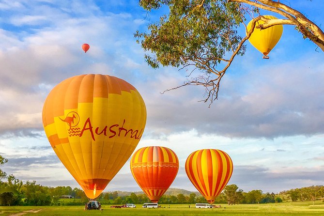Hot Air Balloon Flight Brisbane with Vineyard Breakfast - O’Reilly’s Canungra Valley Vineyards Breakfast and Bubbly