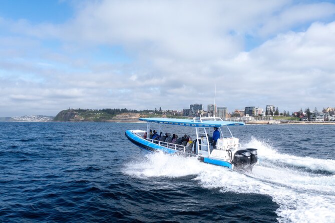 Humpback Whale Encounter Tour from Newcastle - What You’ll Learn On The Water (And Why It Helps You Spot)