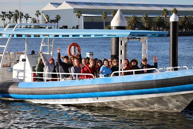 Humpback Whale Encounter Tour from Newcastle - Your Odds Of Seeing Whales, And The Smart Backup Plan