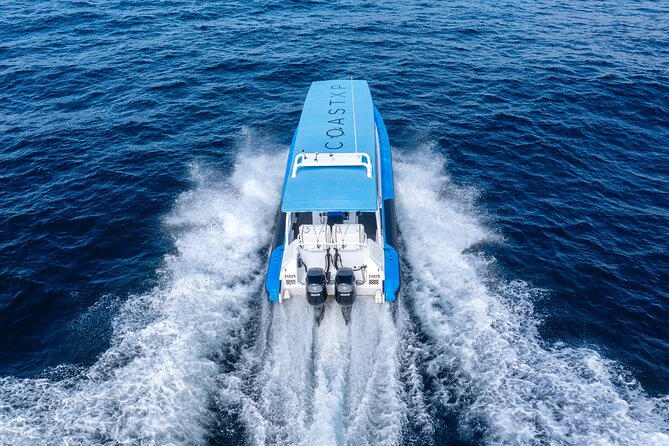 Humpback Whale Encounter Tour from Newcastle - Small-Group Comfort On A Safe Eco-Tourism Vessel