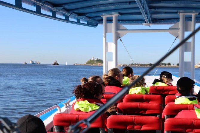Humpback Whale Encounter Tour from Newcastle - Price And Value: Is $84.75 Worth It?