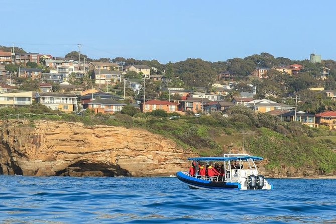 Hunter Coastal Adventure Tour by Boat from Newcastle - From Honeysuckle Wharf to offshore: how the route actually feels