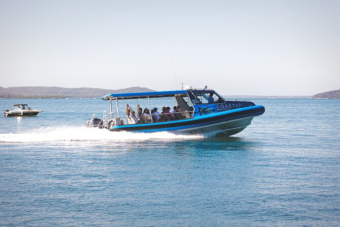Hunter Coastal Adventure Tour by Boat from Newcastle - Getting the best views: where you should position yourself