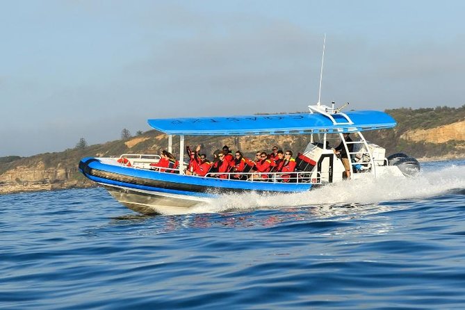 Hunter Coastal Adventure Tour by Boat from Newcastle - Price and value at $84.75: what you’re really buying