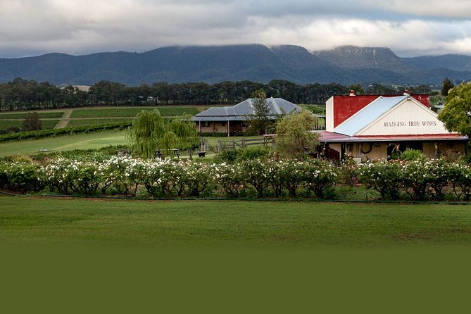 Hunter Valley Highlights Private Wine Tour from Sydney - Cheese stop and chocolate tasting: the smartest way to reset your palate