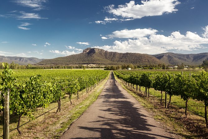 Hunter Valley Highlights Private Wine Tour from Sydney - Bottled water, private transport, and why comfort changes what you enjoy