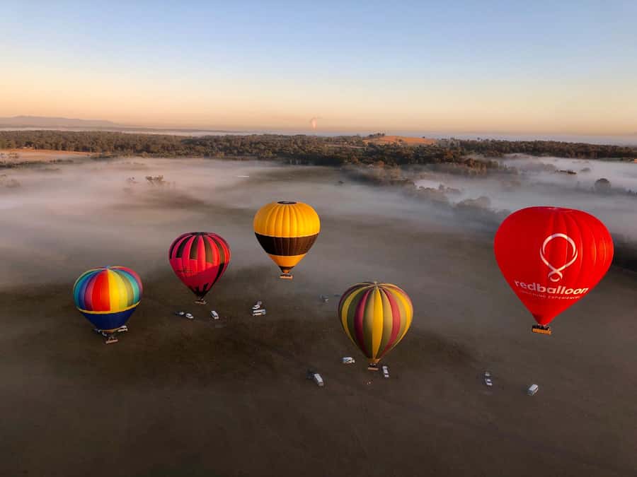 Hunter Valley: Sunrise Balloon Ride with Bubbly Breakfast - Landing, Then the Peterson House Bubbly Breakfast Finish