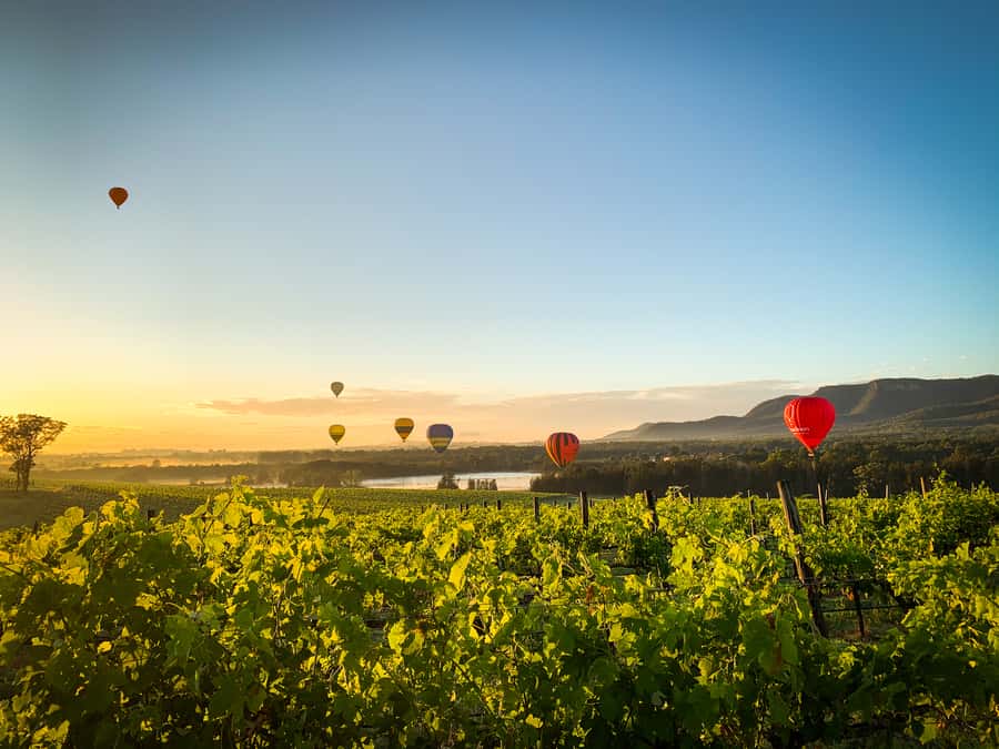 Hunter Valley: Sunrise Balloon Ride with Bubbly Breakfast - The Crew Makes or Breaks It, and This One Seems to Nail the Details