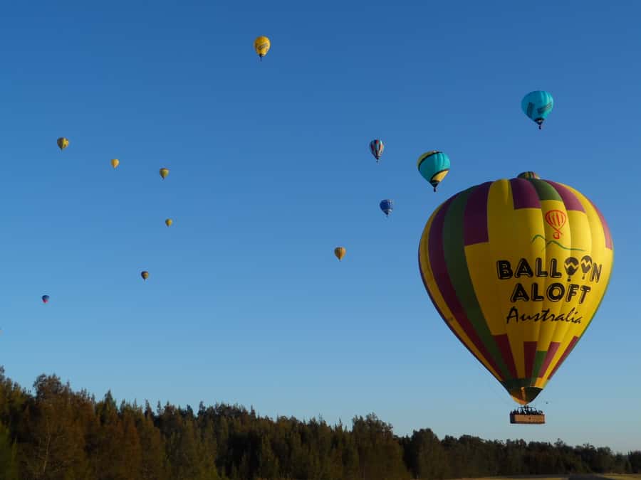 Hunter Valley: Sunrise Balloon Ride with Bubbly Breakfast - The Flight: Golden Light Over Pokolbin, Lovedale, and Rothbury
