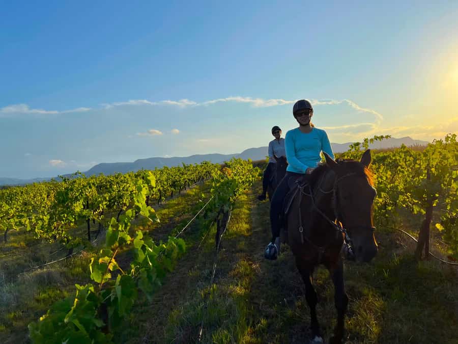 Hunter Valley: Sunset Horse Riding Tour 90min - Key things to know before you go