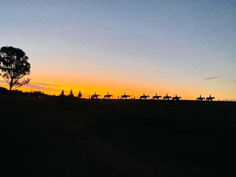 Hunter Valley: Sunset Horse Riding Tour 90min - Why a 90-minute sunset ride makes sense in Hunter Valley