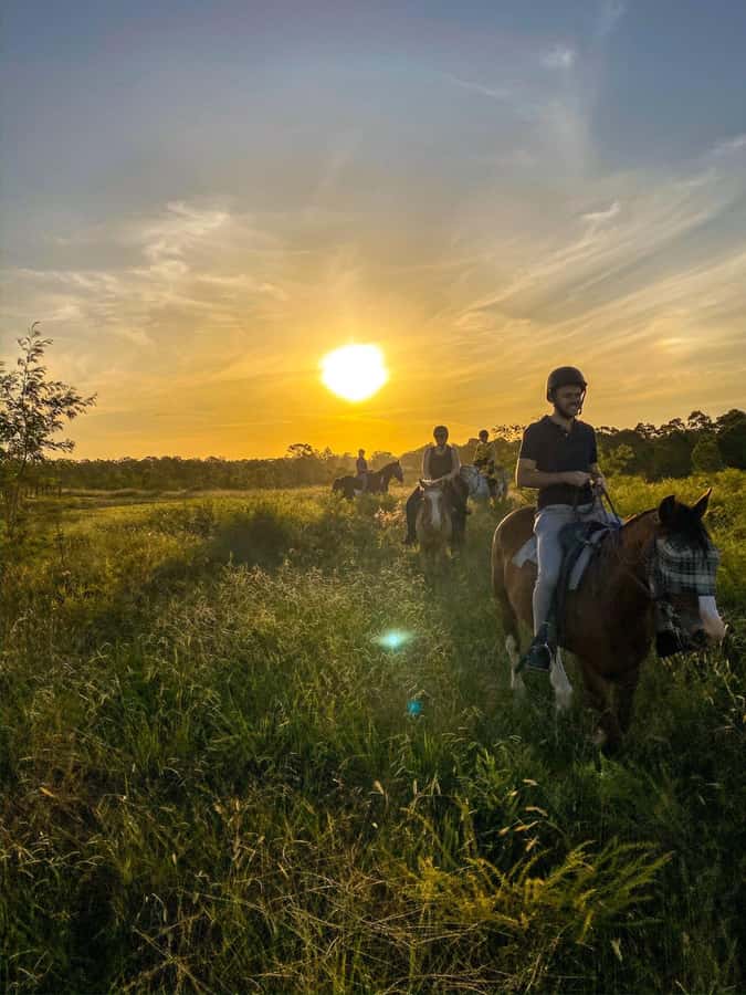 Hunter Valley: Sunset Horse Riding Tour 90min - Getting comfortable on your horse (before the sun drops)