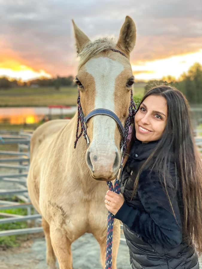 Hunter Valley: Sunset Horse Riding Tour 90min - Riding through bushland and farmland, at walking pace