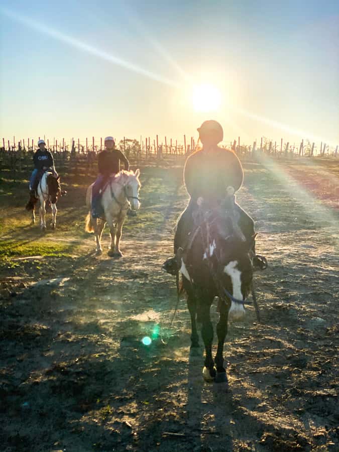 Hunter Valley: Sunset Horse Riding Tour 90min - Pokolbin, the vineyards, and why the Broken Back Range view hits