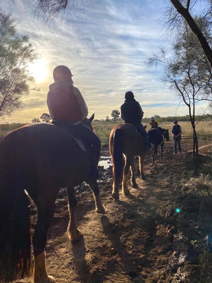 Hunter Valley: Sunset Horse Riding Tour 90min - What the group setup means for your ride
