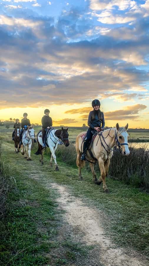 Hunter Valley: Sunset Horse Riding Tour 90min - Price and value: is $123 worth 90 minutes?