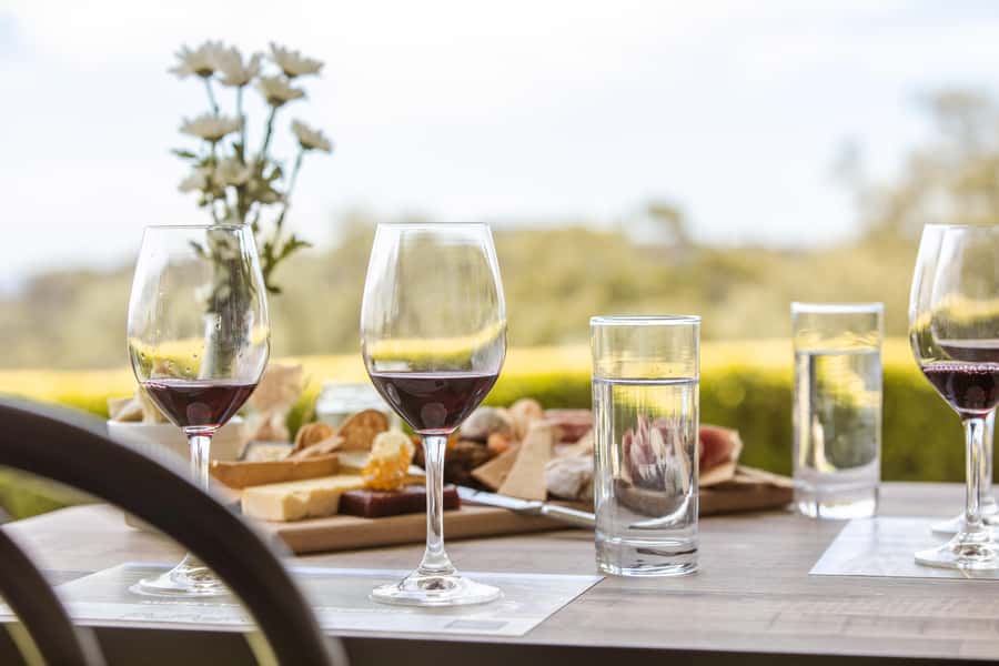Hunter Valley: Wine and Cheese Tasting - Binnoire Dairy cheeses and the pairing logic