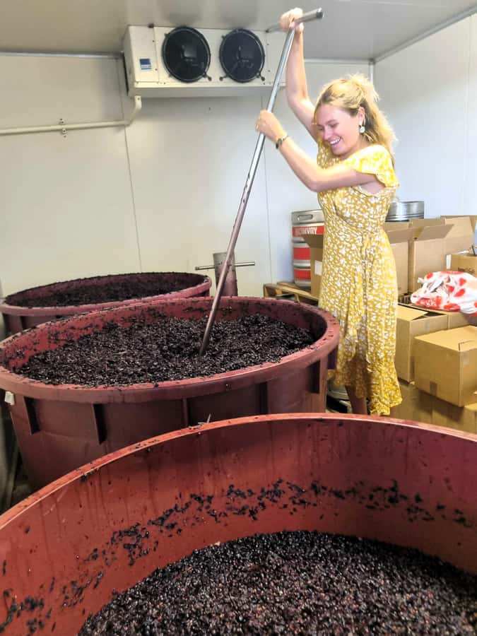 Hunter Valley: Wine, Gin, Cheese and Chocolate Tour - Spirits, Gin and Vodka, Plus the Cheese and Chocolate Pairing