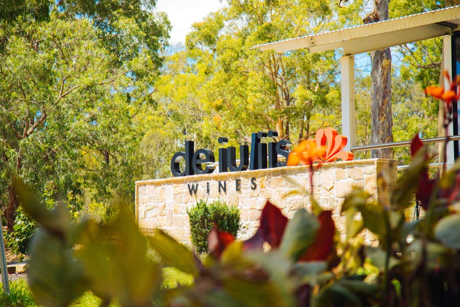 Hunter Valley: Wine, Spirits, and Cheese Tour with Lunch - Who should book this Hunter Valley wine, spirits, and cheese tour