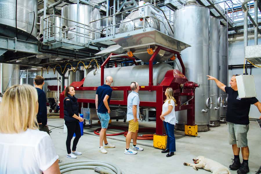 Hunter Valley: Wine, Spirits, and Cheese Tour with Lunch - Test-tube tastings: organic spirits, plus fun flavor choices