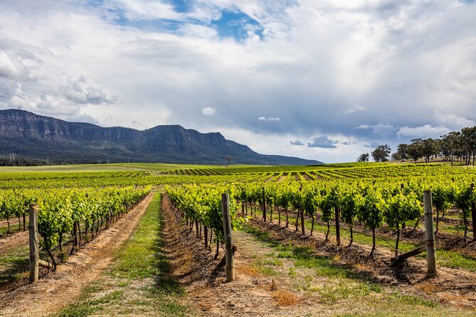 Hunter Valley Wine Tasting Tour from Sydney - Key Highlights Worth Planning For