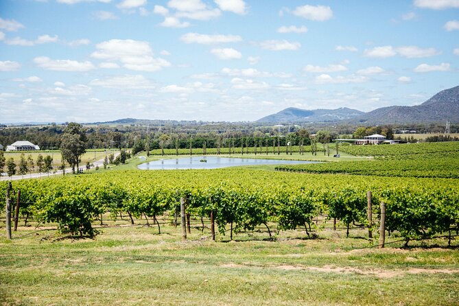Hunter Valley Wine Tasting Tour from Sydney - Price and Value: What $157 Really Buys You