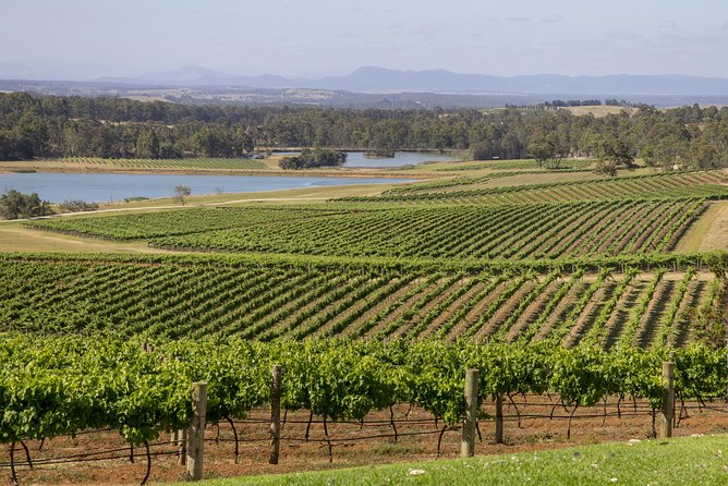 Hunter Valley Wine Tour from Sydney with Lunch and 3 Cellar Door Tastings - Winery time in Pokolbin: what to expect from the 3-hour cellar door block