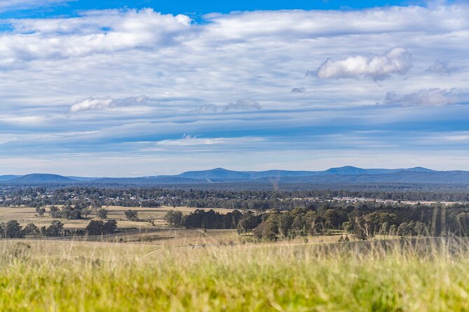 Hunter Valley Wine Tour from Sydney with Lunch and 3 Cellar Door Tastings - Cheese and chocolate beyond tastings: why the food adds real value