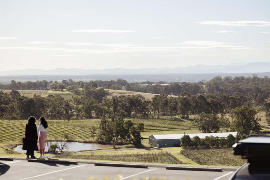 Hunter Valley: Wine Tour with 2-Course Lunch, Choc & Cheese - The Coach Experience: Comfort, Timing, and That One Lesson About Patience