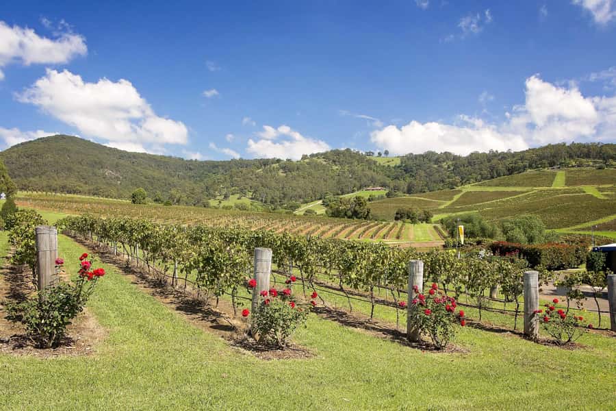 Hunter Valley: Wine Tour with 3 Tastings and Garden Lunch - Hunter Valley Cheese Experience: education plus a platter you’ll actually talk about