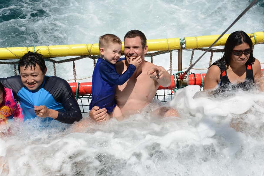 Huskisson: Dolphin Cruise & Boom Netting Experience - Key things to know before you go