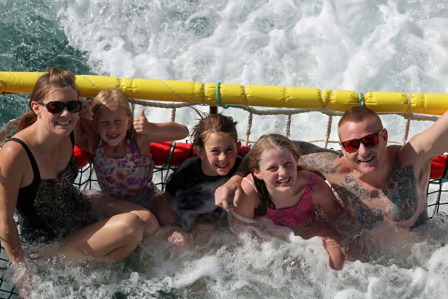 Huskisson: Dolphin Cruise & Boom Netting Experience - The Dolphin Cruise Portion: What You’ll Do and How to Watch