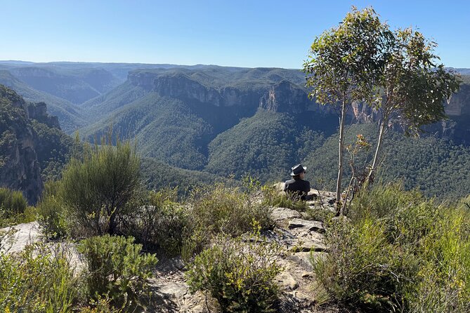 Intimate Blue Mountains Wild Kangaroos & Sunset for Nature Lovers - Leura via Cliff Drive, plus “less visited” lookouts that feel like a secret