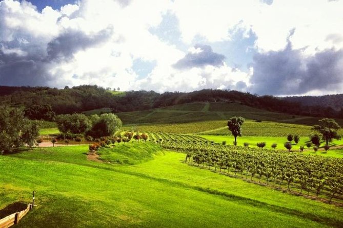 Ivanhoe Wines: Trip Advisor Premium Wine Tasting - Getting there and what to expect at the start