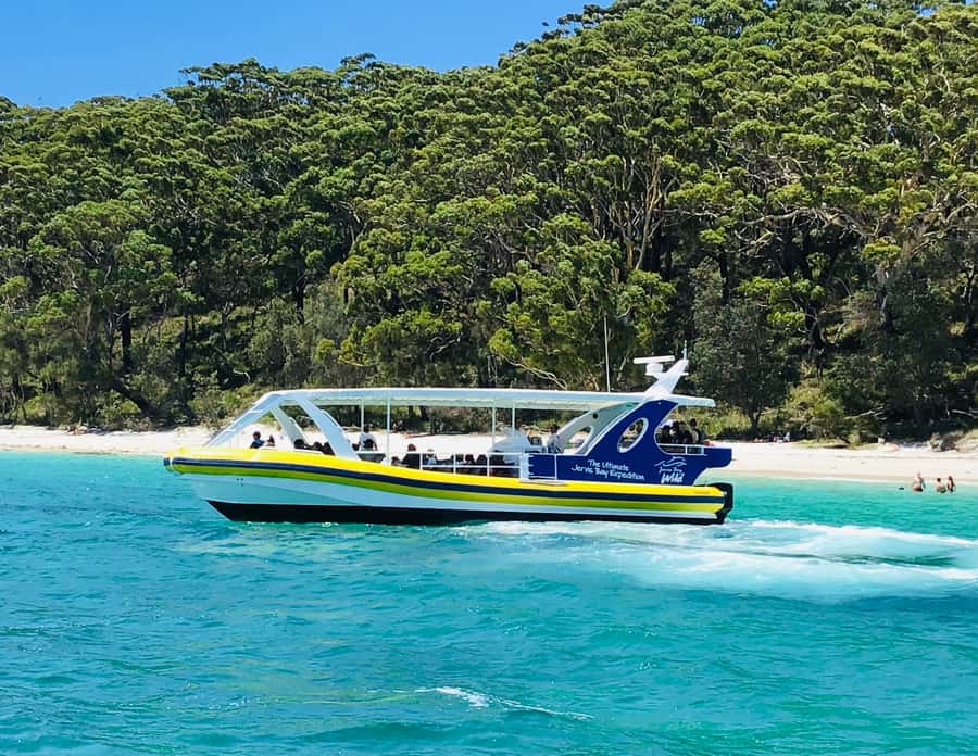 Jervis Bay: 2-Hour Cruise of Jervis Bay Passage - Dolphin spotting: how this cruise usually delivers the wow moment