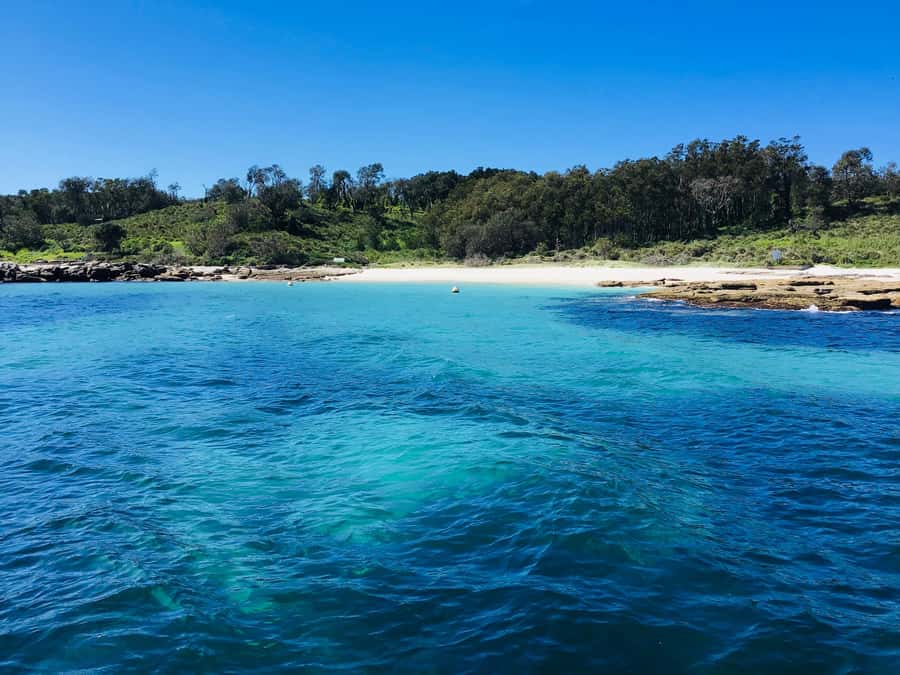 Jervis Bay: 2-Hour Cruise of Jervis Bay Passage - Price and value for a $63, 2-hour Jervis Bay cruise
